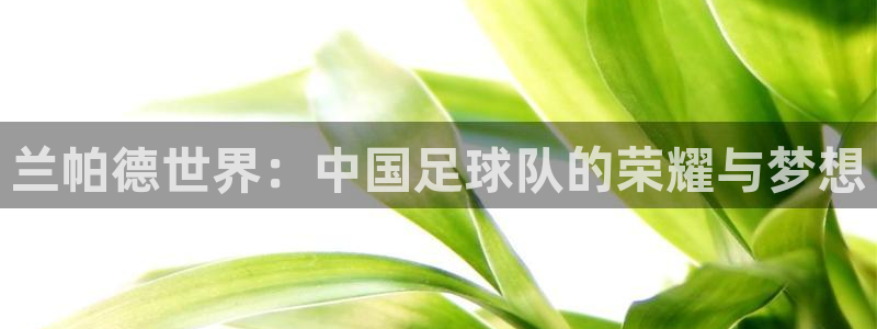 亚洲杯足球:兰帕德世界:中国足球队的荣耀与梦想