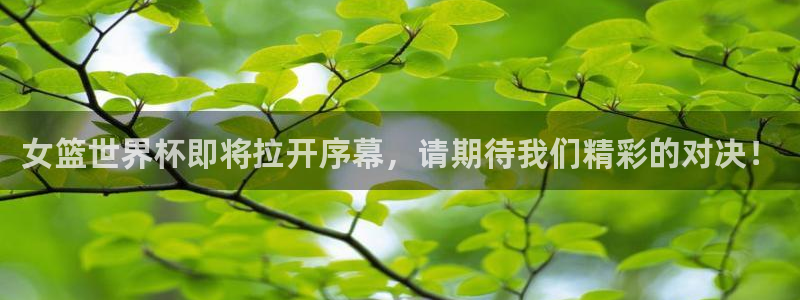 世界杯足球直播:女篮世界杯即将拉开序幕,请期待我们精彩的对决!