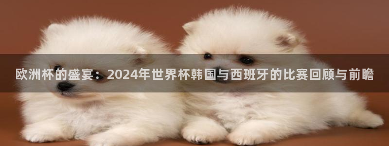 世界杯在线直播入口:欧洲杯的盛宴:2024年世界杯韩国与西班牙的比赛回顾与前瞻