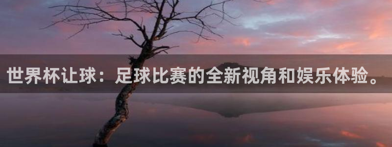 世界杯预选赛规则:世界杯让球:足球比赛的全新视角和娱乐体验。