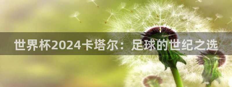世界杯直播:世界杯2024卡塔尔:足球的世纪之选