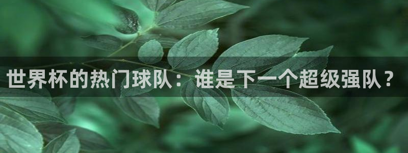 世界杯2026赛程:世界杯的热门球队:谁是下一个超级强队?